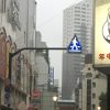 主动发光人行横道标志